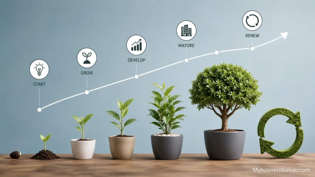 Business Life Cycle: A Complete Guide to Starting, Growing, Maturing, and Renewing a Business Business Life Cycle stages from startup to growth, maturity, and renewal